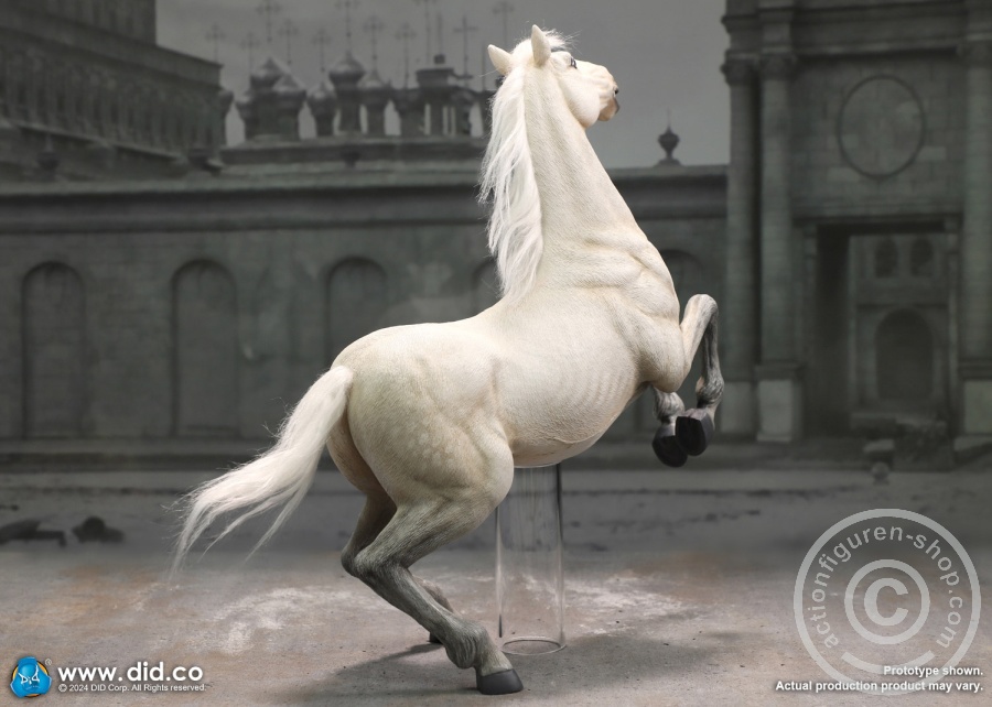 Napoleon White War Horse