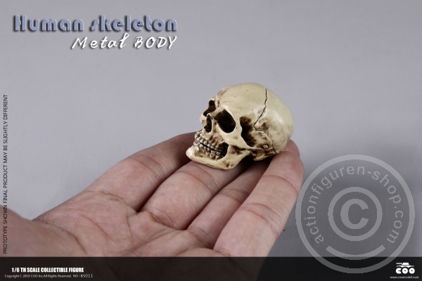 COOBS011-13Gp7ejtbJ37Uba The Human Skeleton - DIECAST ALLOY - Attention: with 2 left feet