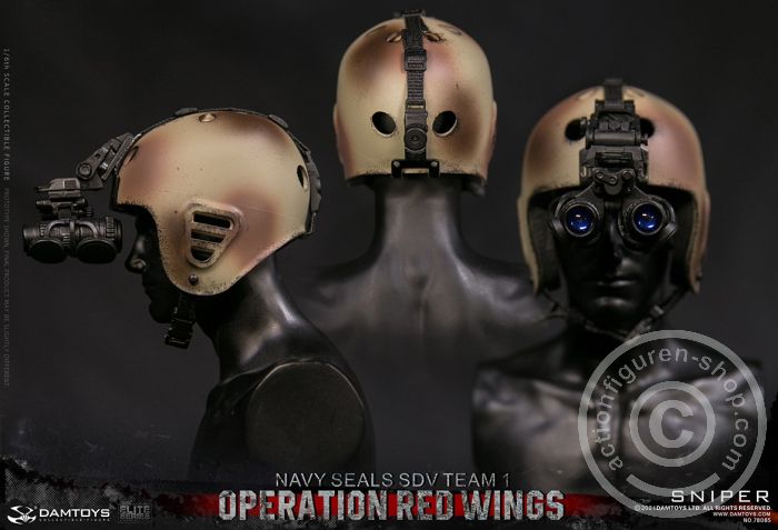 Operation Red Wings - NAVY SEALS SDV TEAM 1 - Sniper