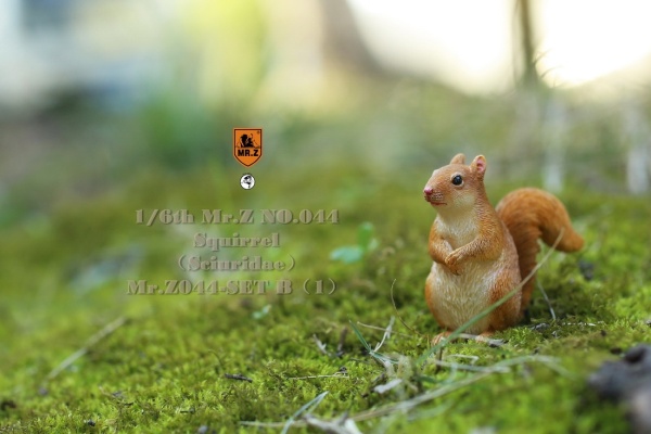 MRZ044B-07 3 Squirrel (Set B)