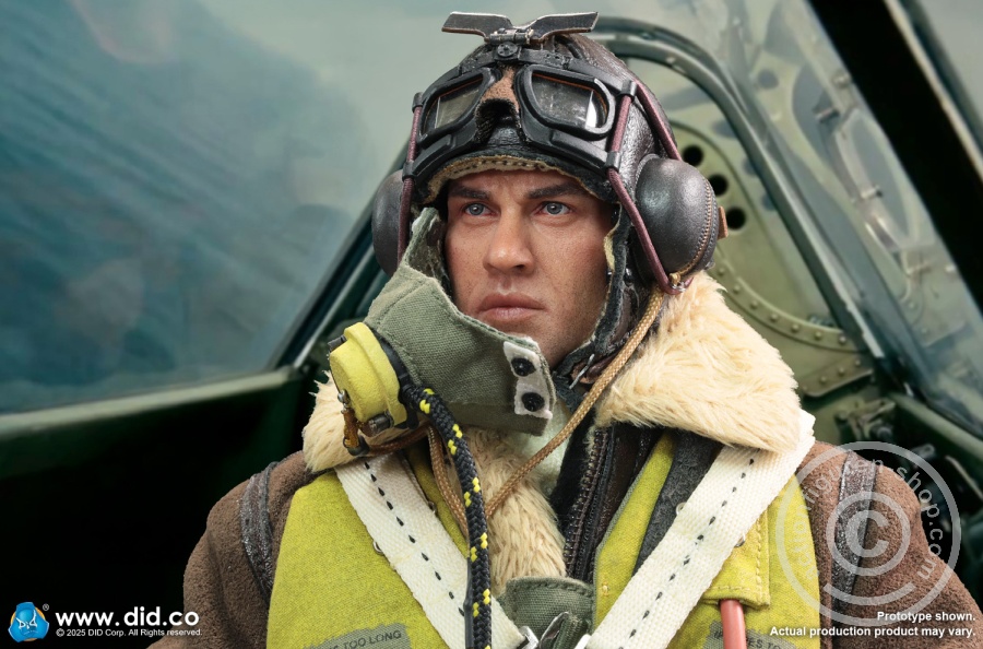 Tom - WWII British Pilot Squadron Leader - in 1/6 scale Tom - WWII British Pilot Squadron Leader - in 1/6 scale