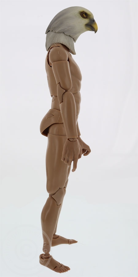TC-M1007C-09 Vogel Kopf für 1:6 Figuren
