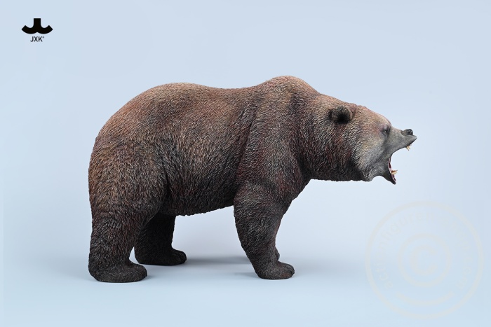 Brown Bear - roaring