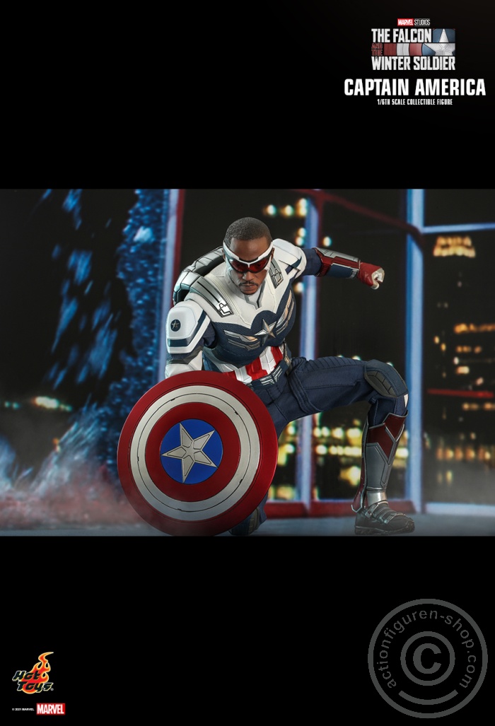 The Falcon and the Winter Soldier - Captain America - TMS040 The Falcon and the Winter Soldier - Captain America - TMS040