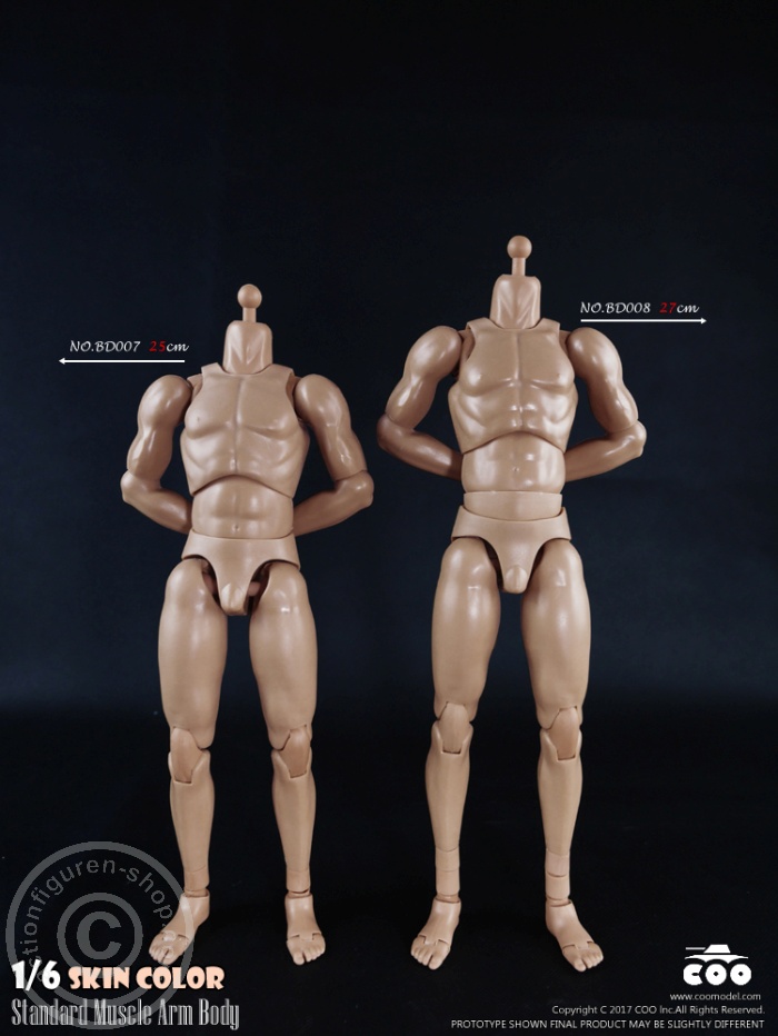 Male Body 2.0 - Muscular - 25cm