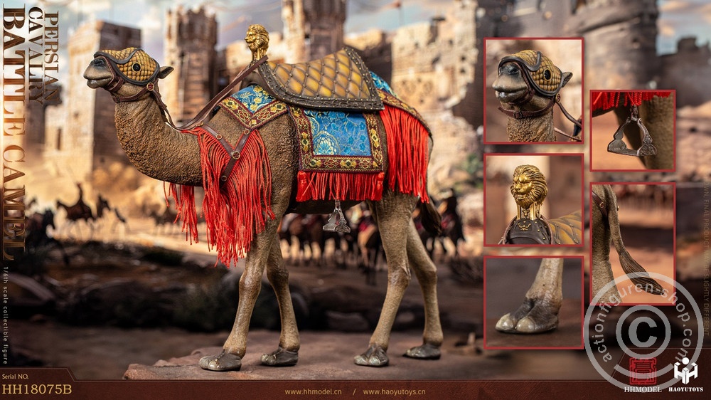 Camel - Imperial Legion - in 1/6 scale Camel - Imperial Legion - in 1/6 scale