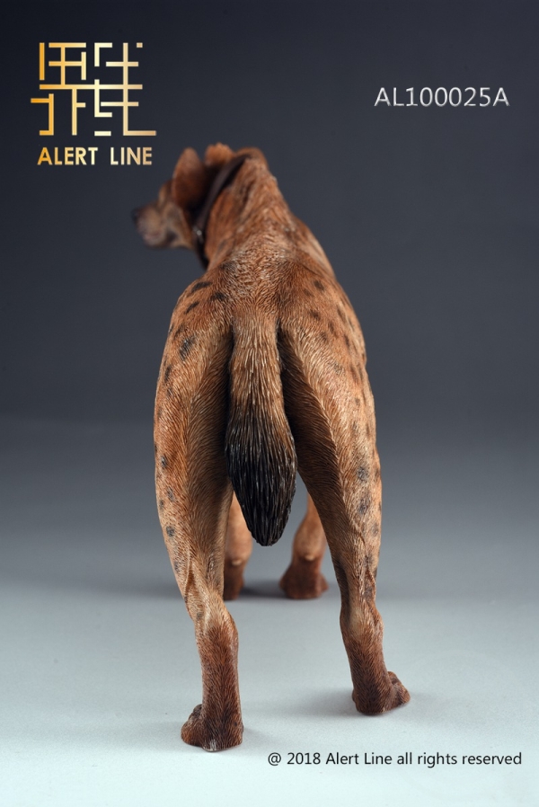 ALL1025AB-04 Crocuta - 1/6 scale