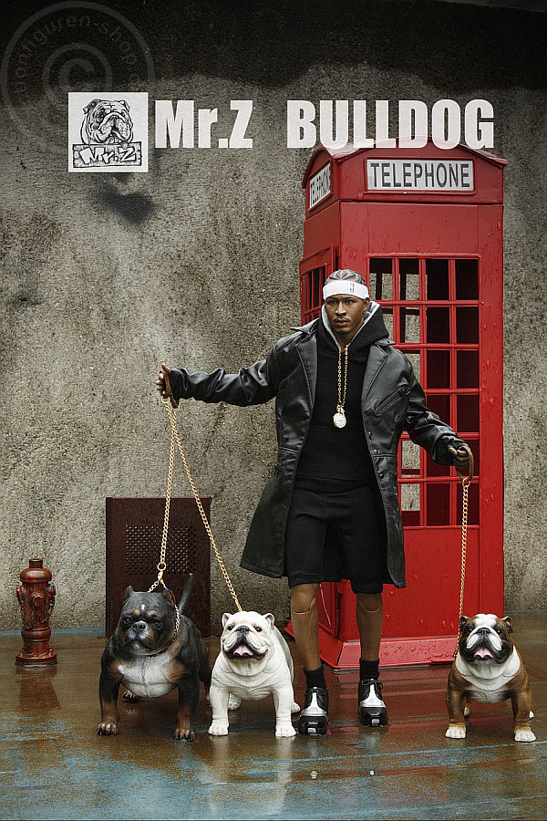 MRZ003-006-004 British Bulldog - Version 4