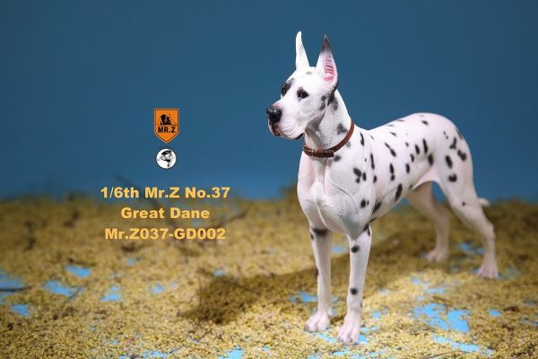 MRZGD037GD02-03 Deutsche Dogge - D