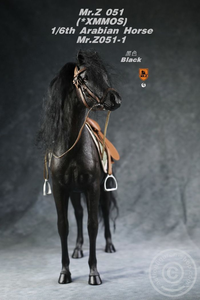 MRZ051-01-06 Arabian Horse w/ full European Harness - black