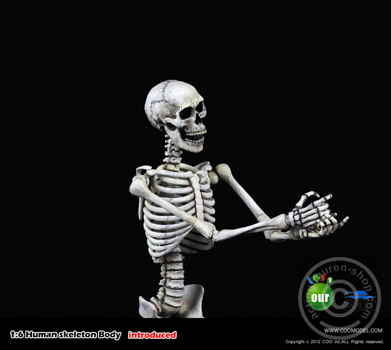 Skeleton Spear Soldier - Human Skeleton in 1:6