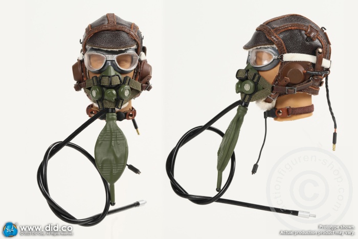 Captain Rafe - WWII United States Army Air Forces Pilot Captain Rafe - WWII United States Army Air Forces Pilot