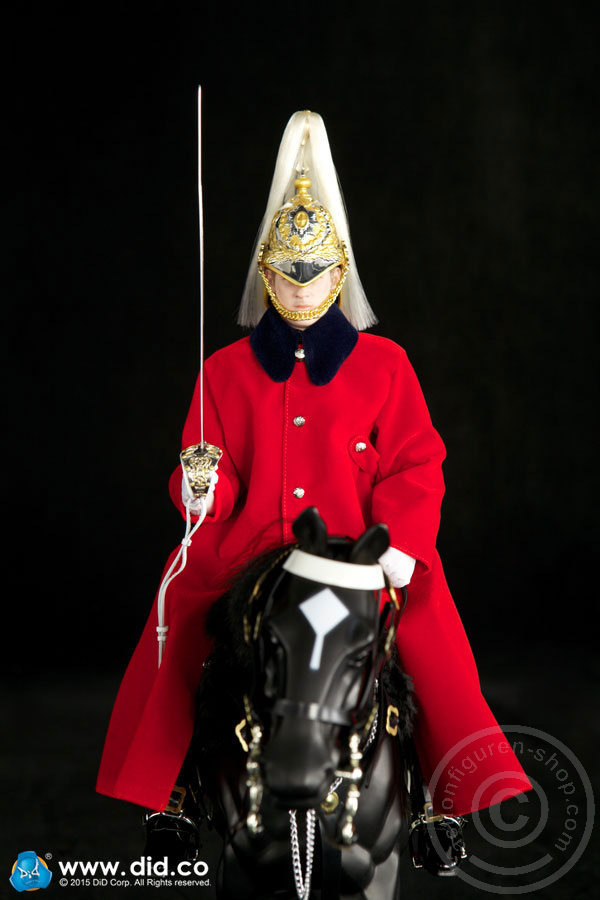 80108-19 The Life Guards