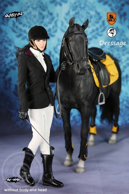 MRZ004A-08 Dressage Set A