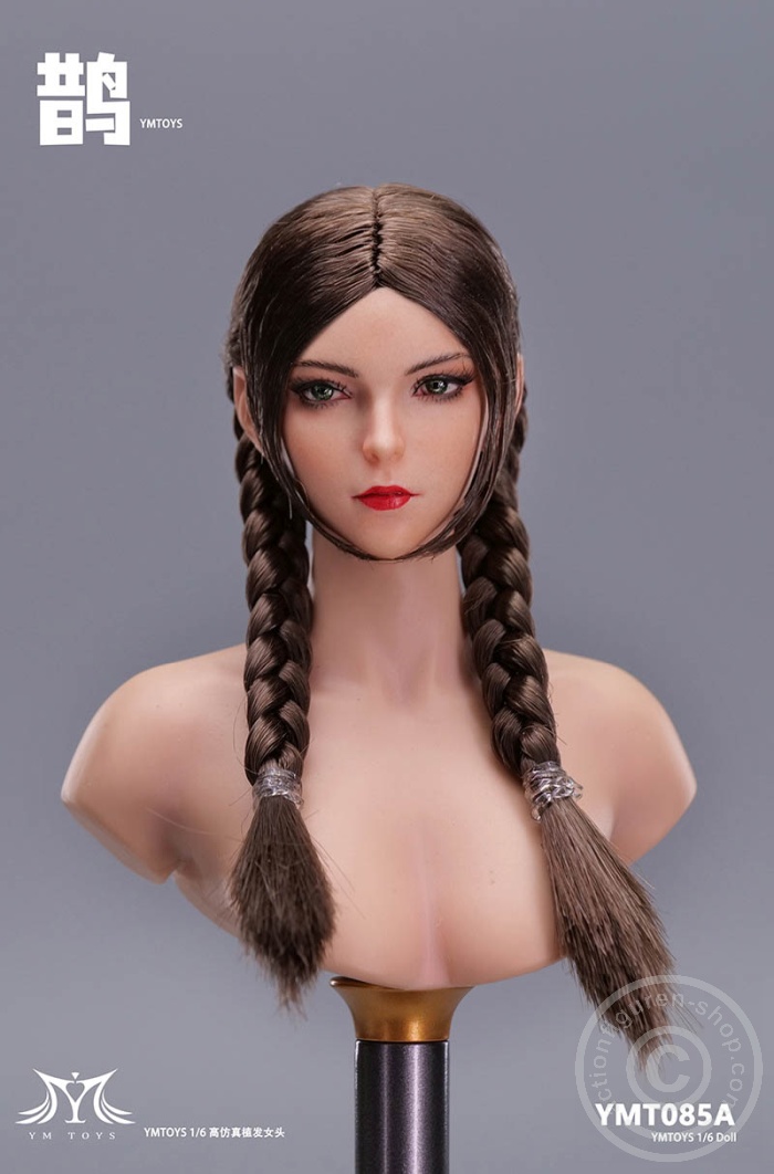 Female Head - 2 long brown braids