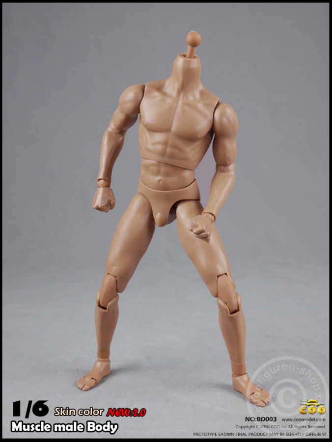 COOBD003-03 Male Body 2.0 - Muscular - 27cm