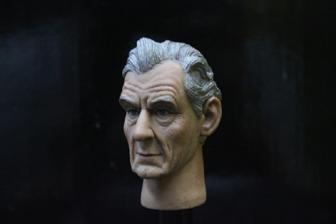 Ian McKellen - Head + Body