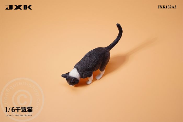 Cats That Eat Cat Food - A2 Cats That Eat Cat Food - A2
