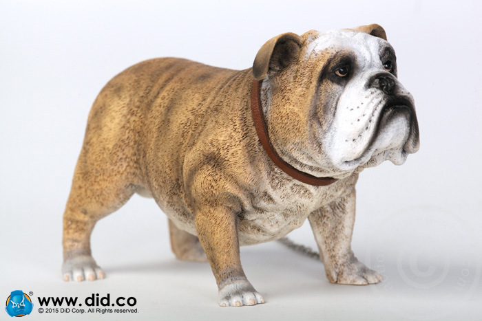 AS002A-04 British Bulldog - Version A
