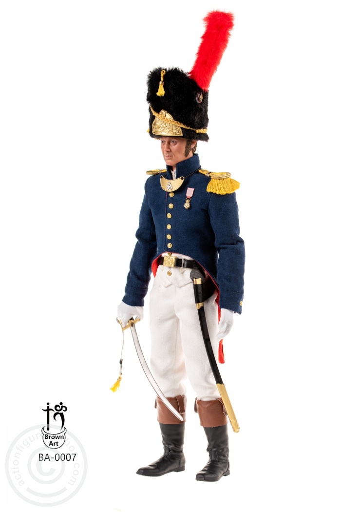 Napoleonic - Subaltern of The French Imperial Guard