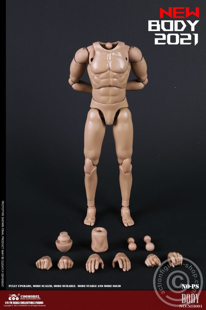 Standard Male Body - New Type