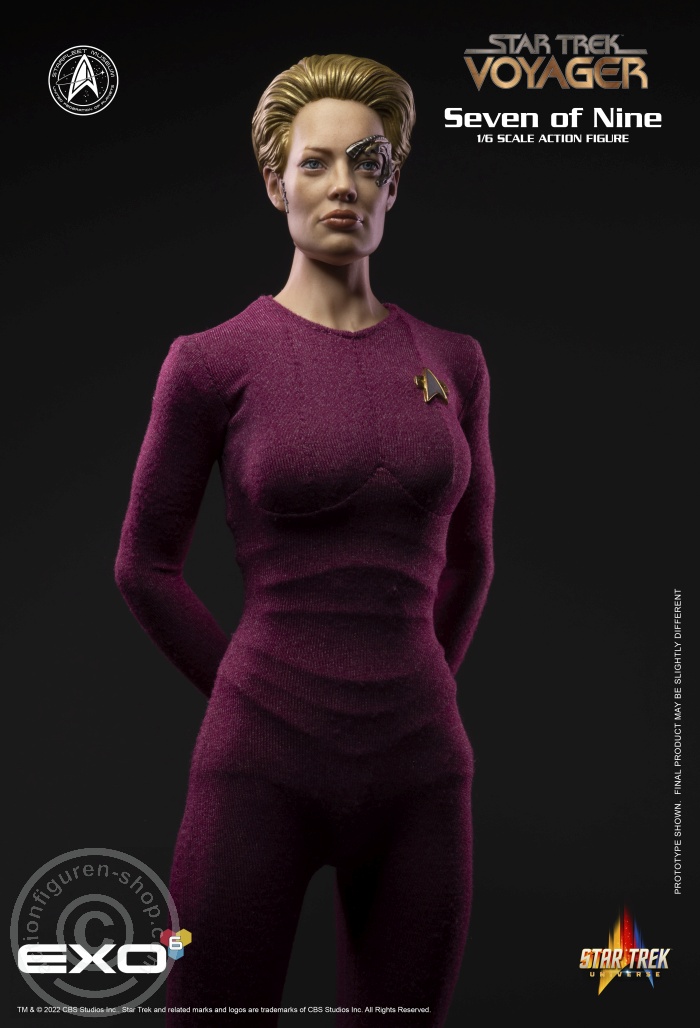 Star Trek: Voyager - Seven of Nine Star Trek: Voyager - Seven of Nine