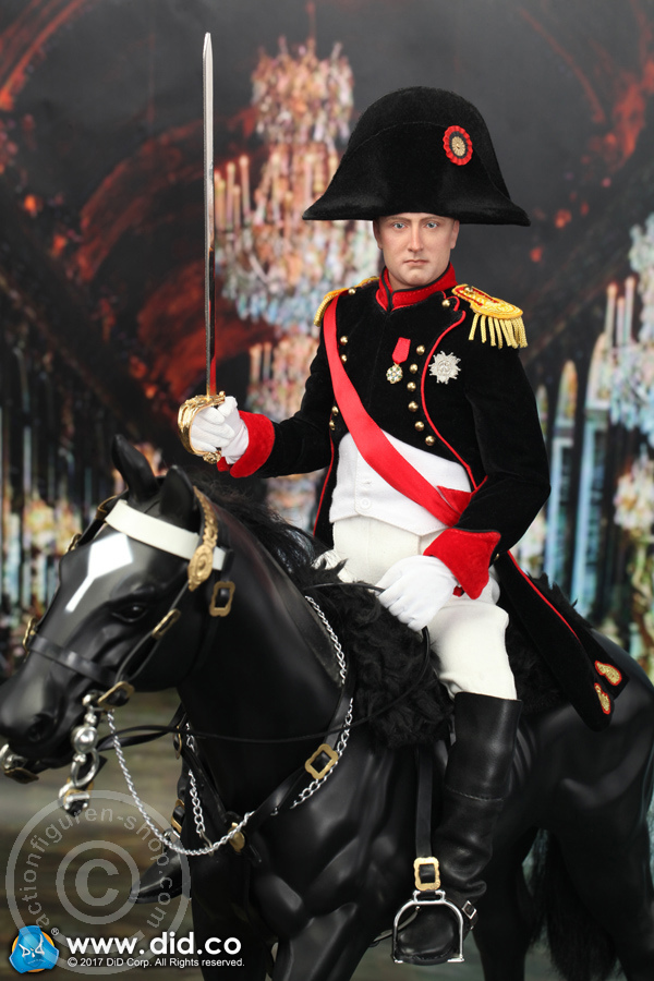 80122-21 Napoleon Bonaparte - Battle Version