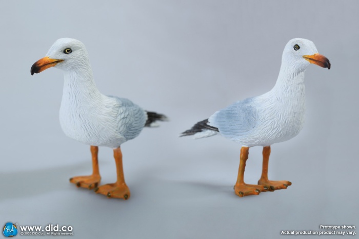 German U-Boot - Seagull - Cap & Badge Set