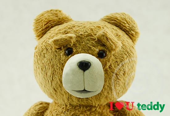 TED - I Love U Teddy