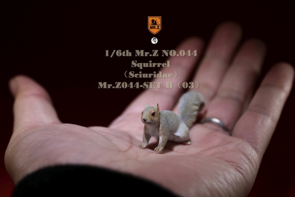 MRZ044B-16 3 Squirrel (Set B)