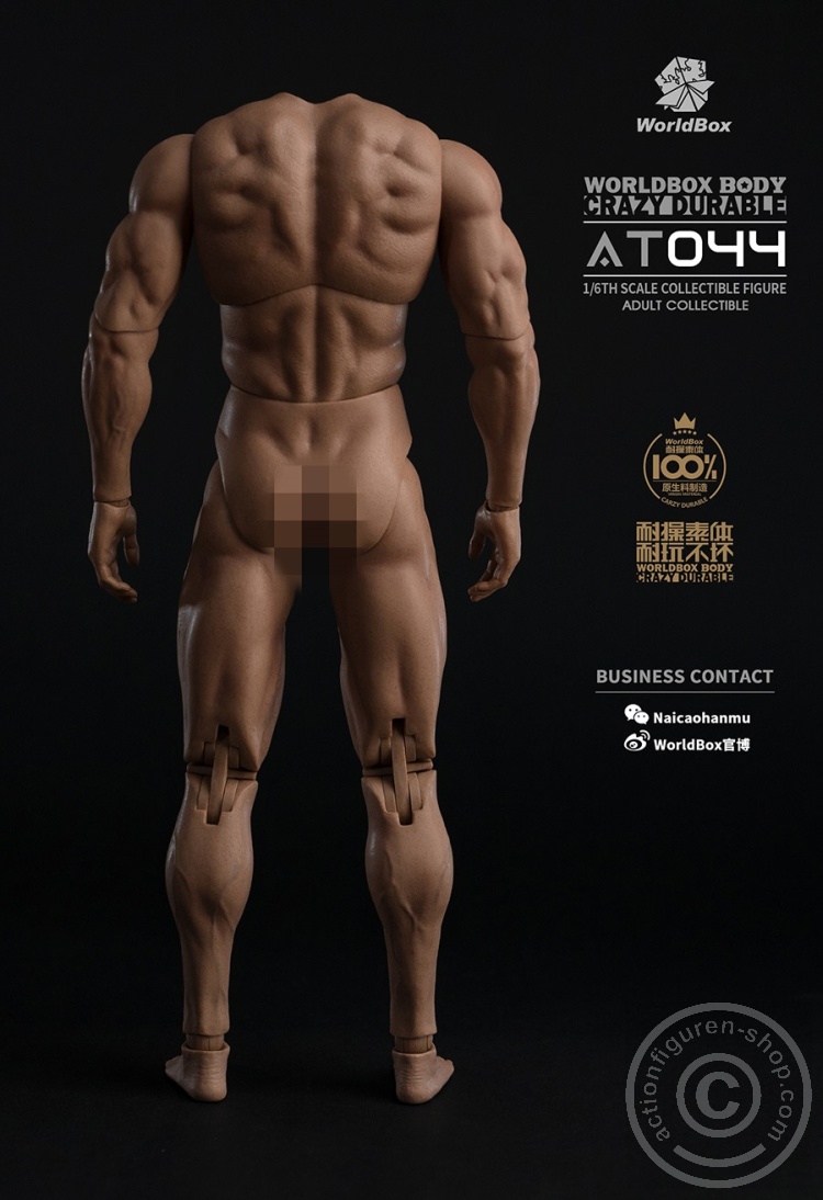 Body - Crazy Durable - Body - Crazy Durable -