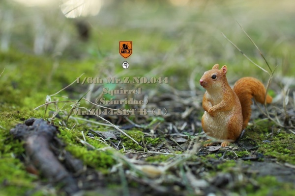 MRZ044B-08 3 Squirrel (Set B)