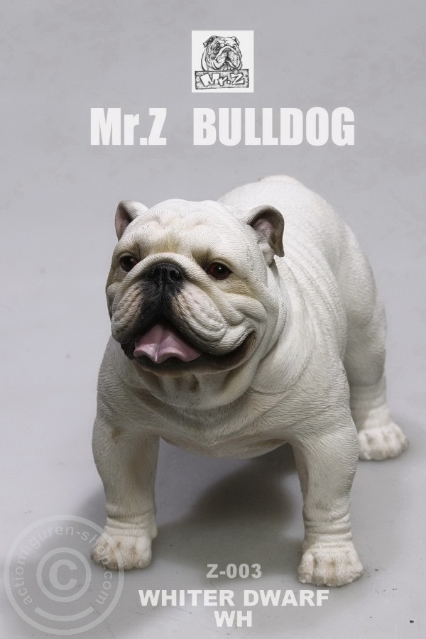 MRZ003-09 British Bulldog - Version 4