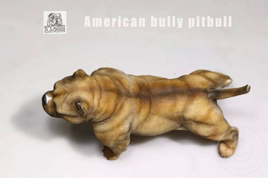 MRZ001-16 American Bully Dog - dark color