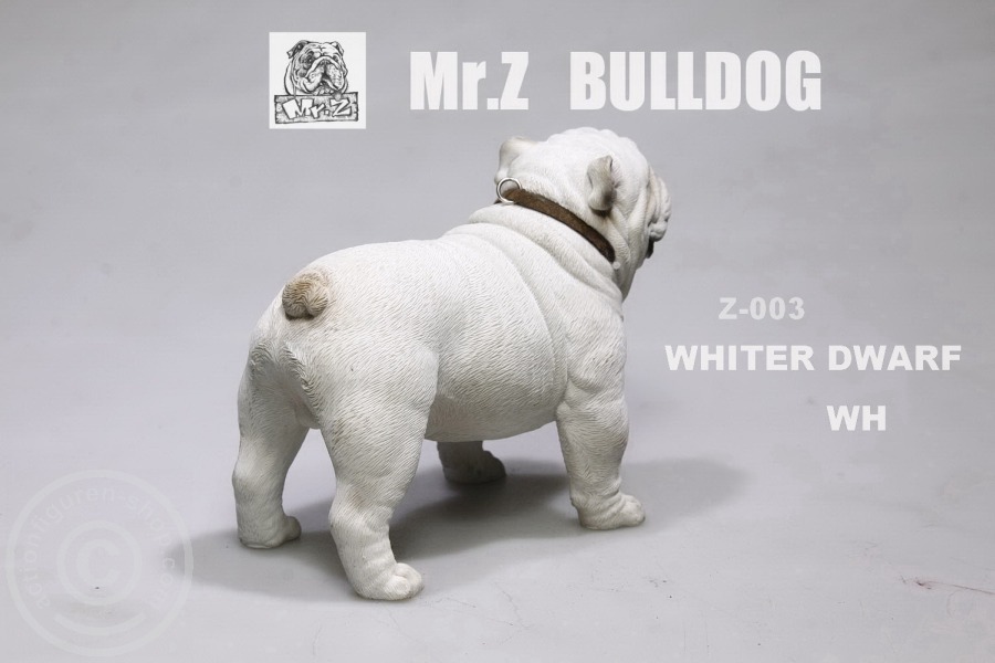 MRZ003-06 British Bulldog - Version 4