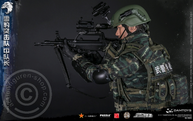 DA78053-12 China People Armed Police Force - Snow Leopard Commando Leader