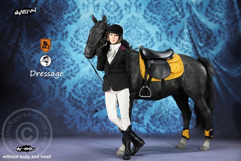 MRZ004A-12 Dressage Set A
