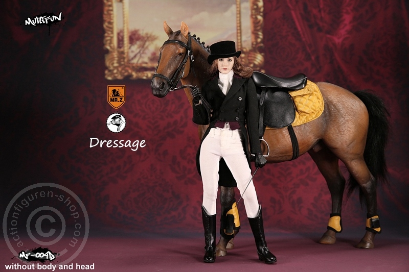MRZ004B-07 Dressage Set B