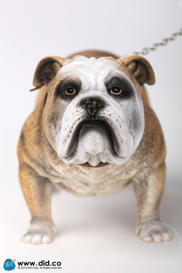 AS002A-01 British Bulldog - Version A