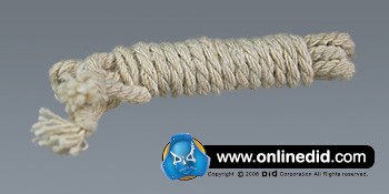 80029-008 Georg Sander