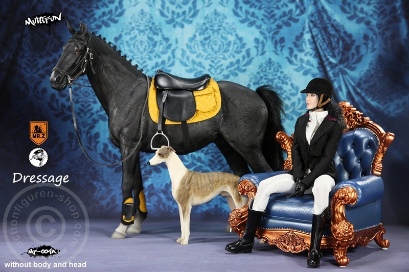 MRZ004A-17 Dressage Set A