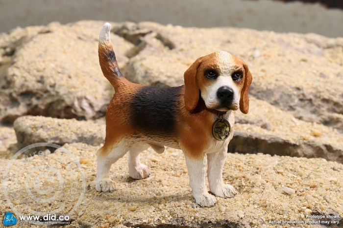 Diorama - "Star of Afrika"