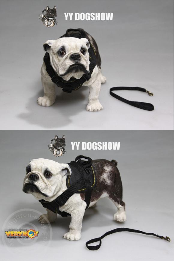 VH1045-07 Dog Show Set