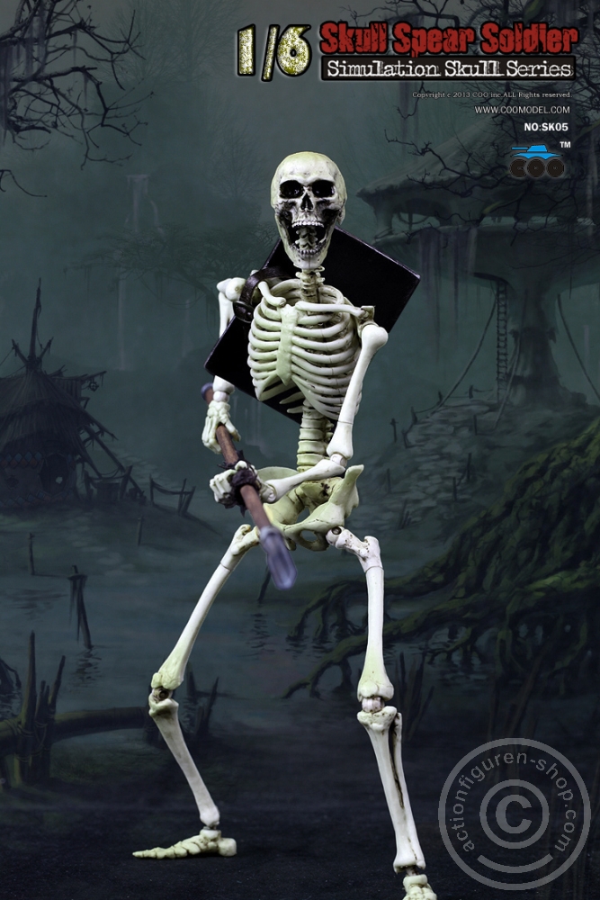 Skeleton Spear Soldier - Human Skeleton in 1:6