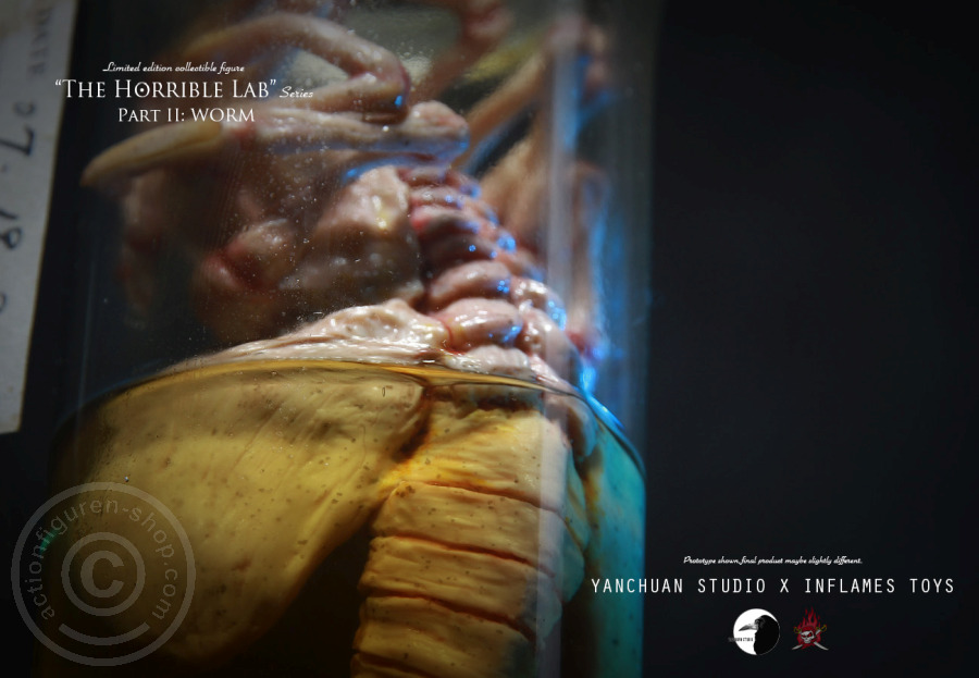 IFT-022-13 The Horrible Lab Series - WORM