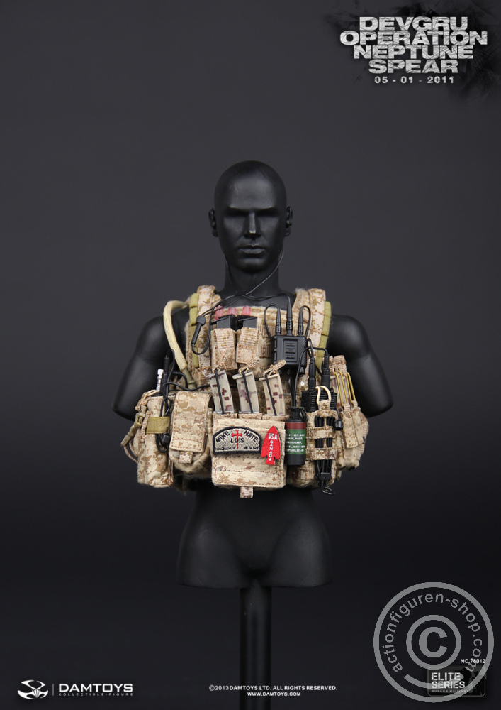 DA78012-43 DEVGRU Operation Neptune Spear