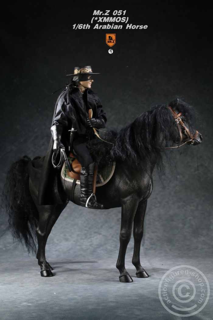MRZ051-01-103xwGCkbuXlxT2 Arabian Horse w/ full European Harness - black