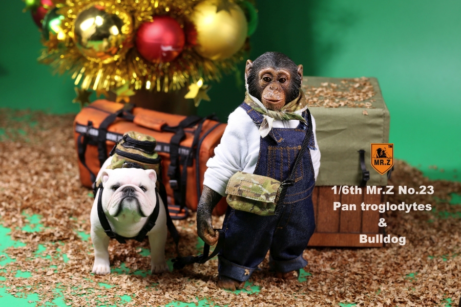 Chimpanzee and Bulldog Set