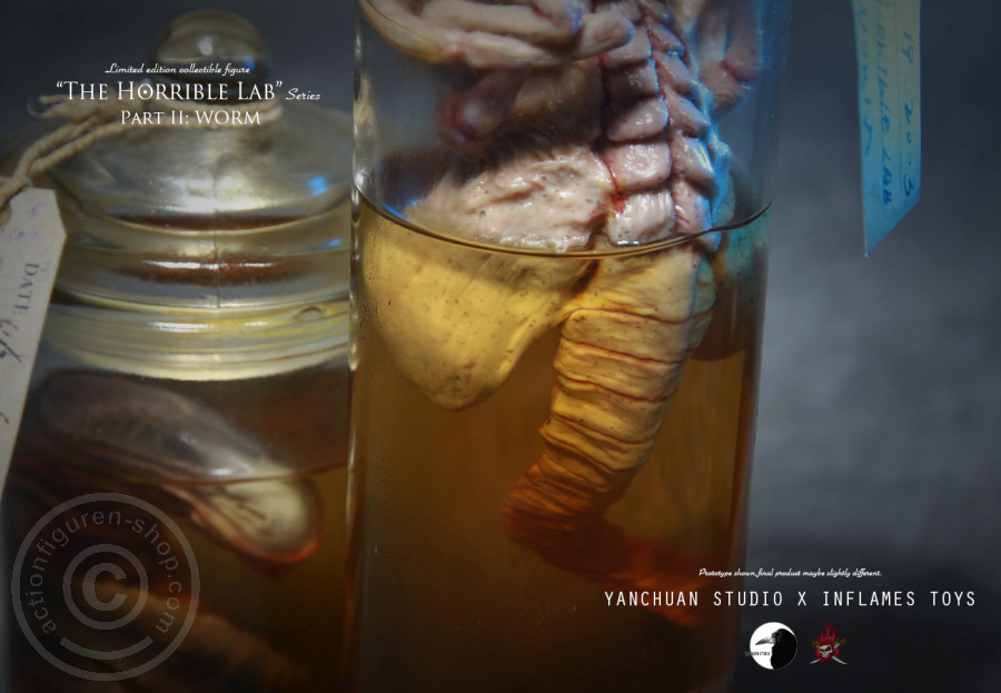 IFT-022-11 The Horrible Lab Series - WORM
