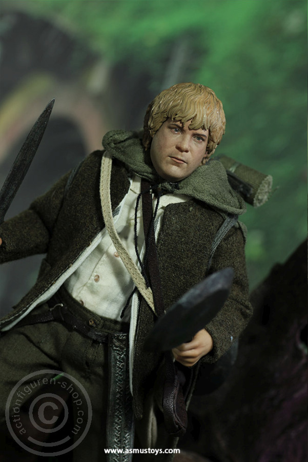 Sam - LOTR